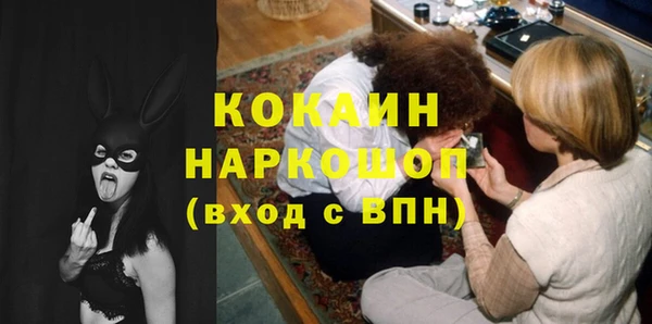 дмт Осташков