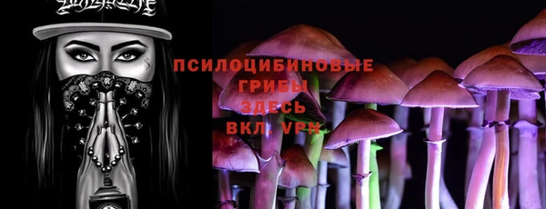 дмт Осташков