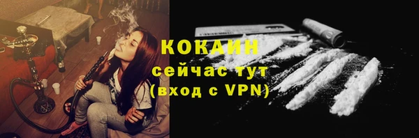 дмт Осташков