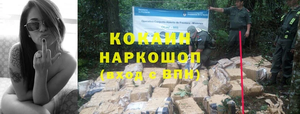 дмт Осташков