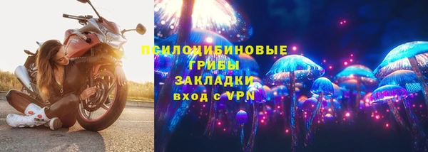 дмт Осташков