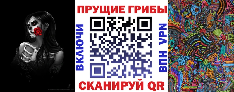 Галлюциногенные грибы Psilocybine cubensis Гуково