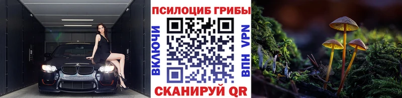 Псилоцибиновые грибы Psilocybine cubensis  Гуково 