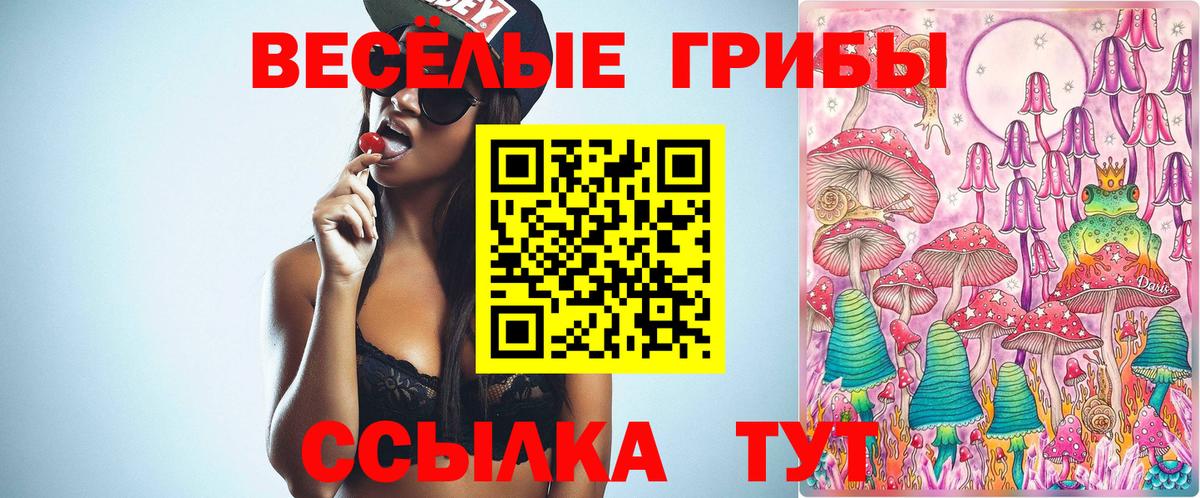 Псилоцибиновые грибы GOLDEN TEACHER Гуково