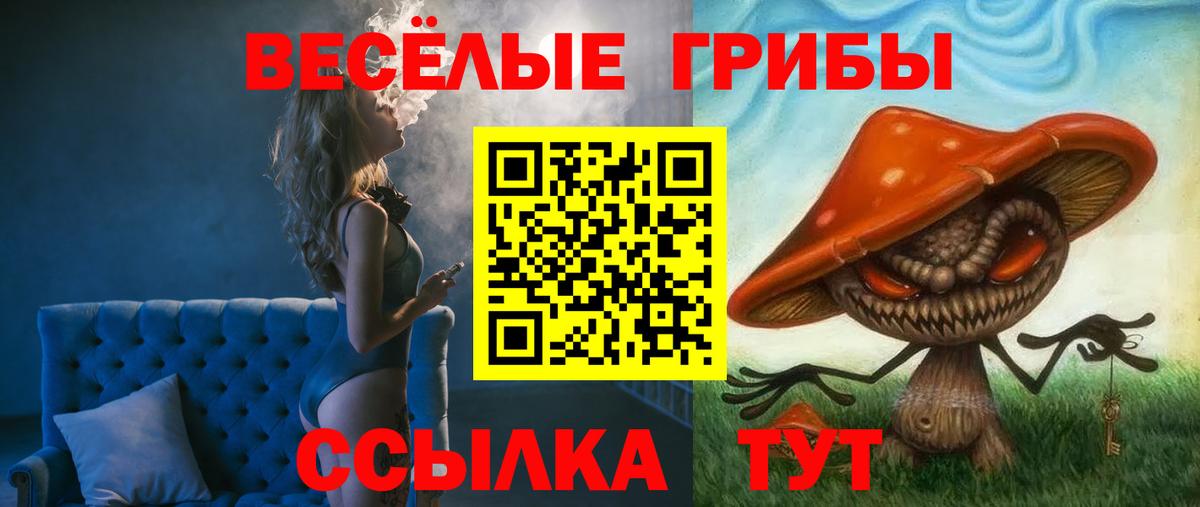 Гуково  Псилоцибиновые грибы MAGIC MUSHROOMS  Псилоцибиновые грибы Psilocybe  Вход с VPN 